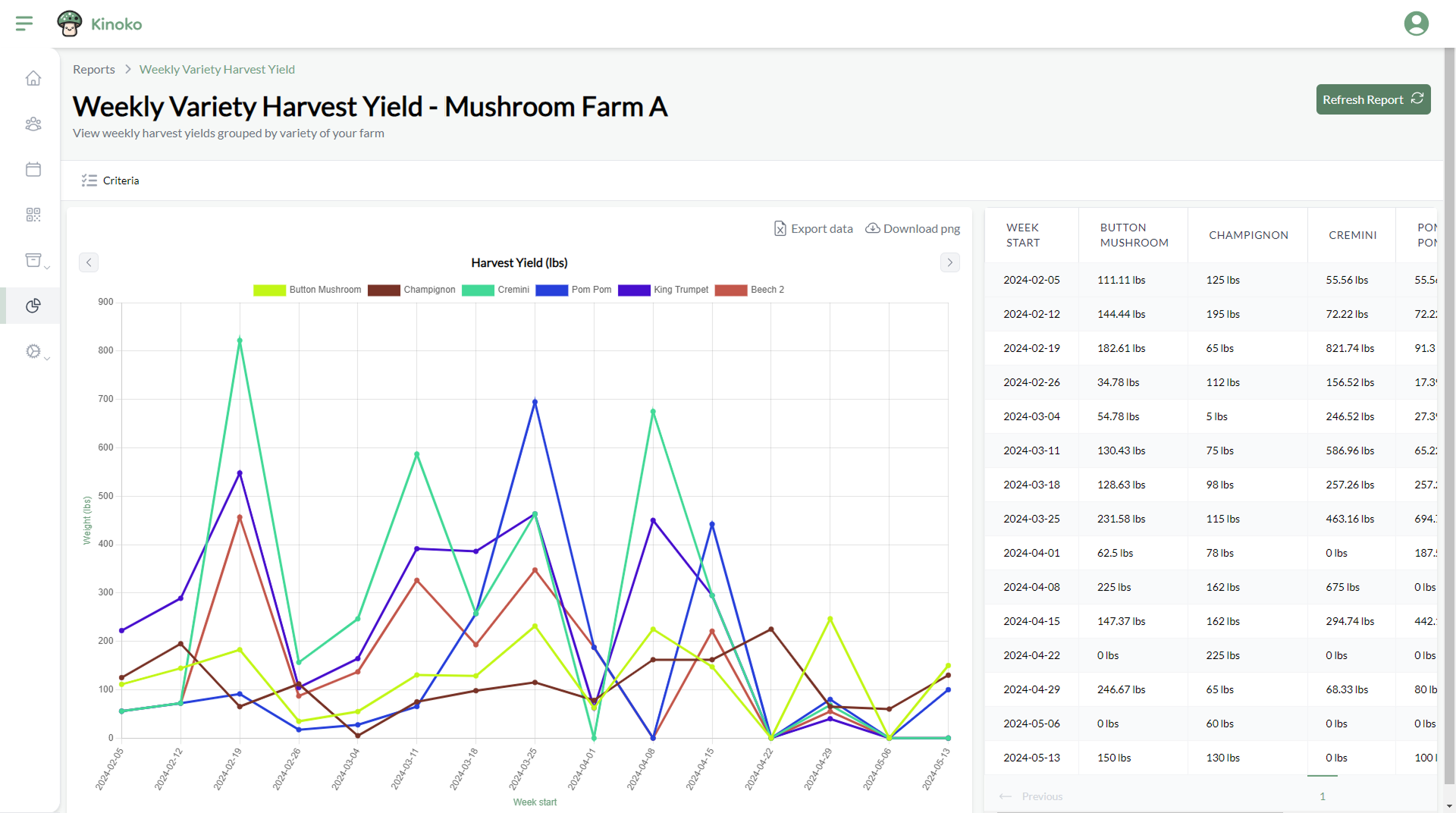 Kinoko reporting dashboard
